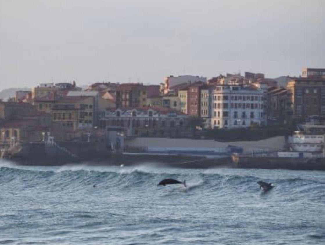 Alojamientos Muelle De Gijon Exterior photo